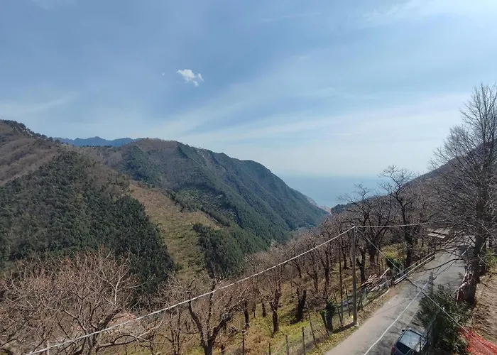 Couette-café Casa Hermitage 3*